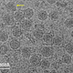 Frozen Zika particles. Image: D. Sirohi et al., 2016/Science